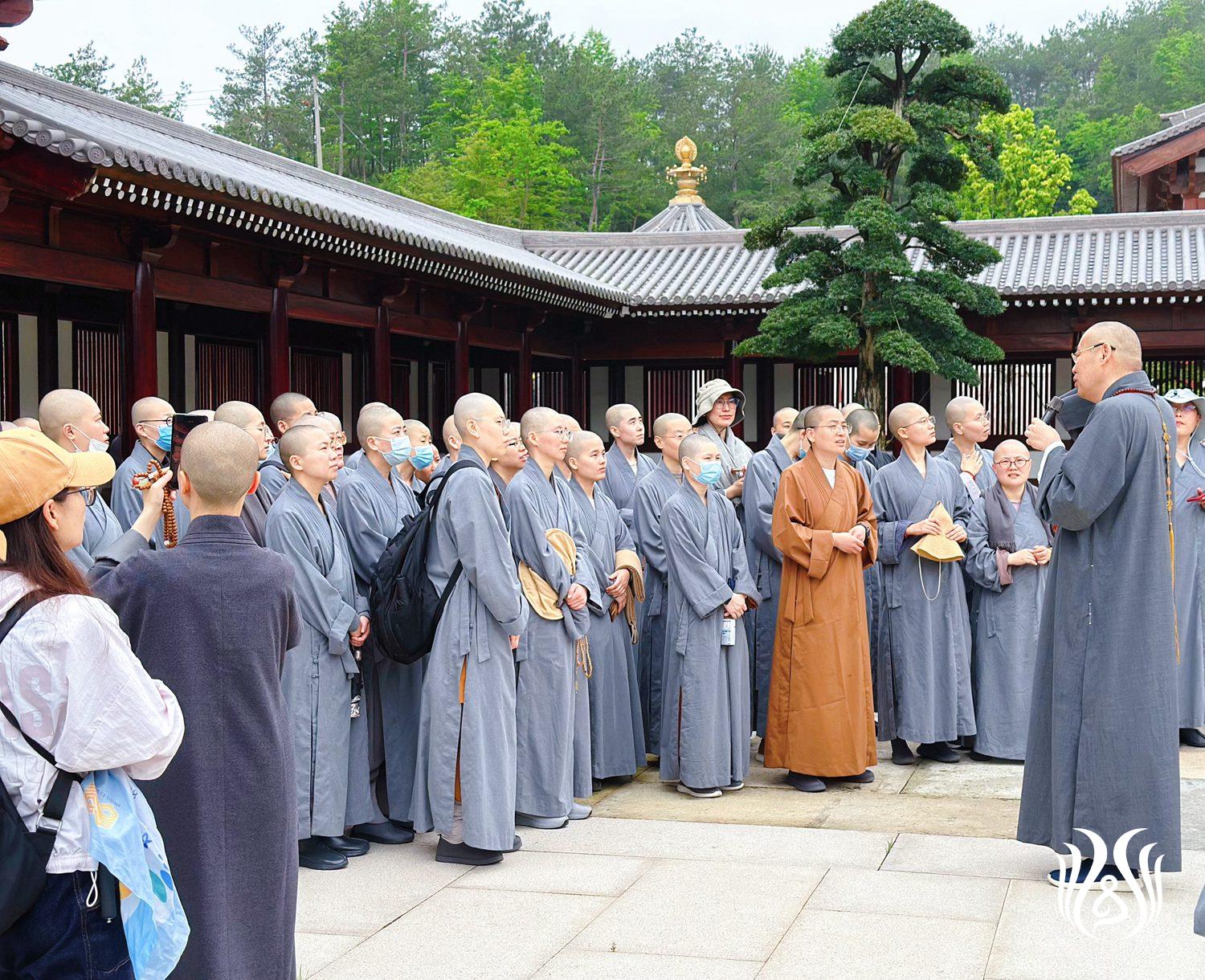 天台山佛学院女众部图片